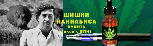 винт Лабытнанги