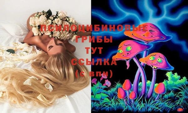 винт Лабытнанги